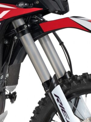 Alternative view of RIEJU 307 R
